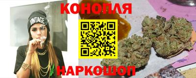 амф Кингисепп