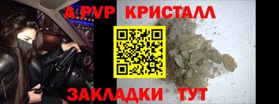 амф Кингисепп