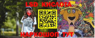 амф Кингисепп