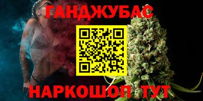 амф Кингисепп