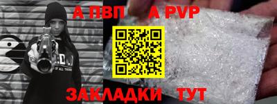 амф Кингисепп