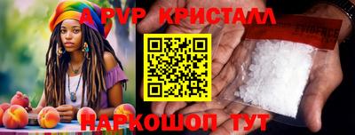 амф Кингисепп